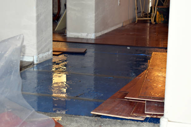 Professional Flood Cleanup technician working in Byfield, MA